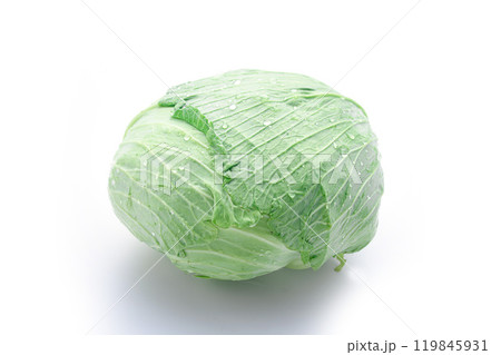 新鮮なキャベツ （ 白背景 ）　 119845931