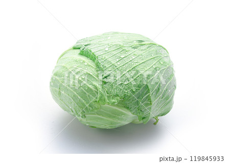 新鮮なキャベツ （ 白背景 ）　 119845933