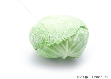 新鮮なキャベツ ( 白背景 ) 新鮮なキャベツ ( 白背景 ) 119845939