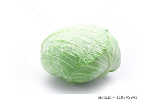 新鮮なキャベツ （ 白背景 ）　 119845943