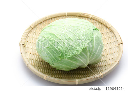 新鮮なキャベツ （ 白背景 ）　 119845964