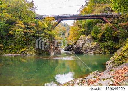 【新潟県】秋山郷 猿飛橋と付近の紅葉 【新潟県】秋山郷 猿飛橋と付近の紅葉 119846099