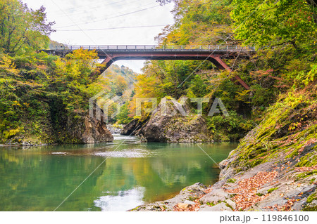 【新潟県】秋山郷　猿飛橋と付近の紅葉 119846100