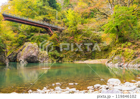 【新潟県】秋山郷　猿飛橋と付近の紅葉 119846102