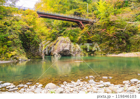 【新潟県】秋山郷 猿飛橋と付近の紅葉 【新潟県】秋山郷 猿飛橋と付近の紅葉 119846103