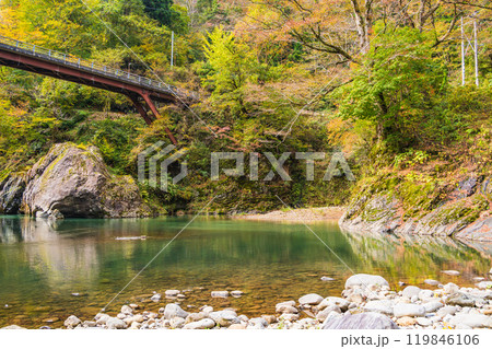 【新潟県】秋山郷 猿飛橋と付近の紅葉 【新潟県】秋山郷 猿飛橋と付近の紅葉 119846106