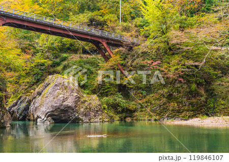【新潟県】秋山郷 猿飛橋と付近の紅葉 【新潟県】秋山郷 猿飛橋と付近の紅葉 119846107