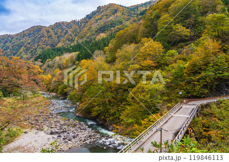 【新潟県】秋山郷 猿飛橋と付近の紅葉 【新潟県】秋山郷 猿飛橋と付近の紅葉 119846113