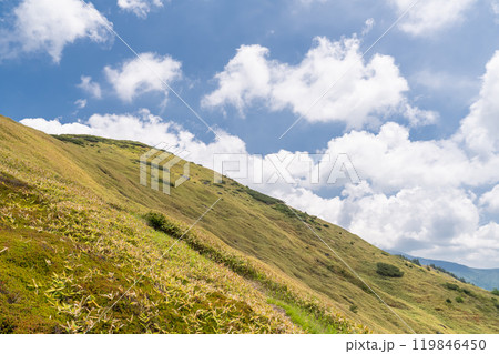 《長野県》夏の毛無峠 《長野県》夏の毛無峠 119846450