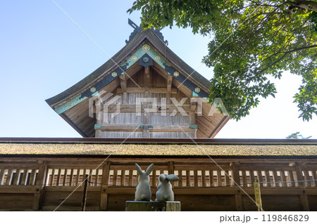 島根県出雲市 出雲大社本殿を見つめる因幡の白兎 島根県出雲市 出雲大社本殿を見つめる因幡の白兎 119846829