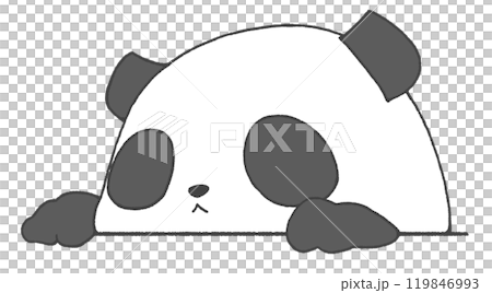 A panda pops out 119846993