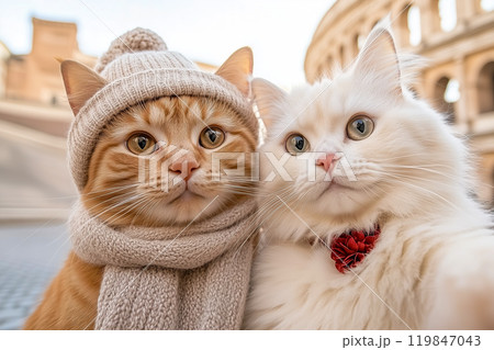 Happy couple in love,  white fluffy female cat and red male cat take a selfie against the backdrop of the Colosseum in Rome, Italy.  AI-generation item 119847043