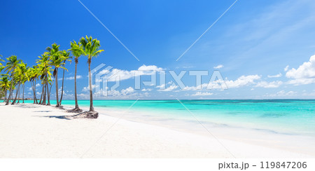 Beautiful tropical white sand beach and coconut palm tree in Dominican Republic. 119847206