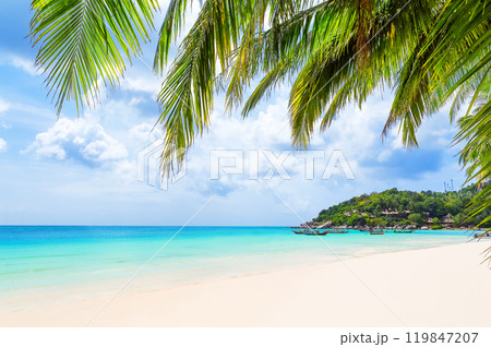 Coconut palm trees and long tail boat on white sand tropical beach in Koh Tao island, Surat Thani Province, Thailand. 119847207
