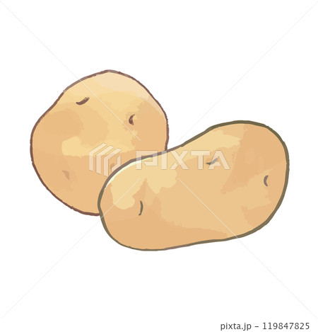 じゃがいも2つ_野菜イラスト手描きアイコン じゃがいも2つ_野菜イラスト手描きアイコン 119847825