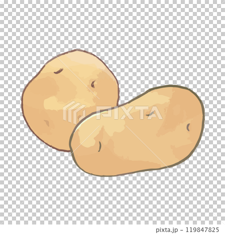 じゃがいも2つ_野菜イラスト手描きアイコン じゃがいも2つ_野菜イラスト手描きアイコン 119847825