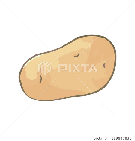 じゃがいも_野菜イラスト手描きアイコン1 119847830
