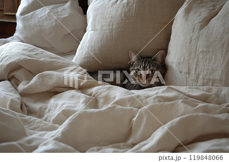 A relaxed cat nestled in soft blankets, peering out with wide eyes, surrounded by cozy pillows 119848066