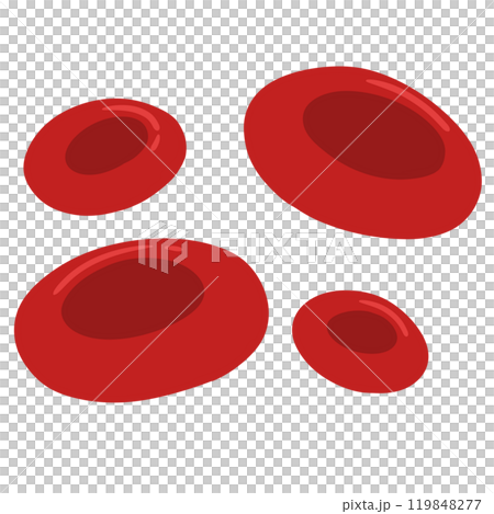 Red blood cells 119848277