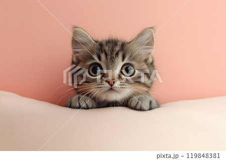 Curious kitten peeking over a soft edge, eyes wide with wonder, framed by fluffy paws and pink fur 119848381