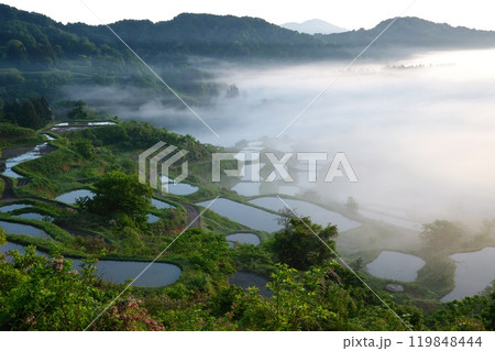 峠の棚田2024 峠の棚田2024 119848444