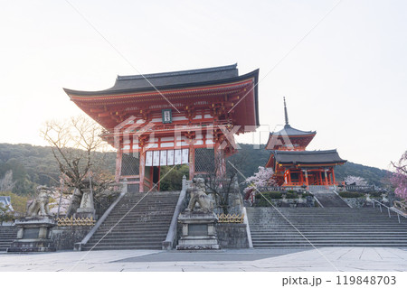 満開の桜と清水寺 仁王門付近 満開の桜と清水寺 仁王門付近 119848703