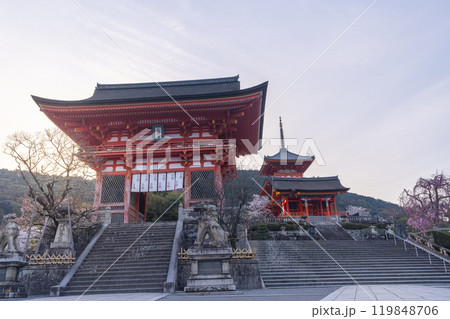 満開の桜と清水寺 仁王門付近 満開の桜と清水寺 仁王門付近 119848706