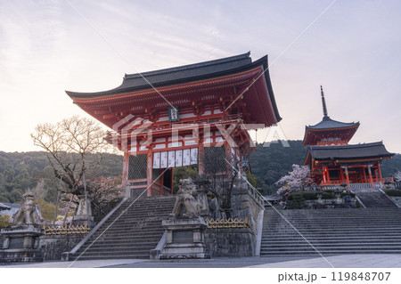 満開の桜と清水寺 仁王門付近 満開の桜と清水寺 仁王門付近 119848707
