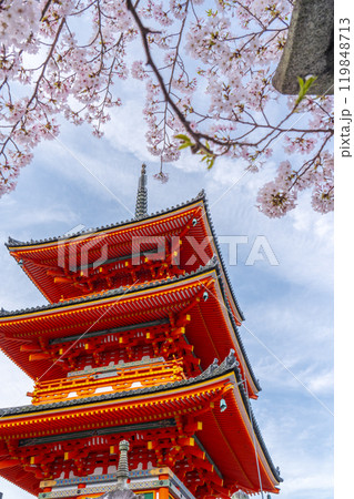 満開の桜と清水寺　三重塔 119848713