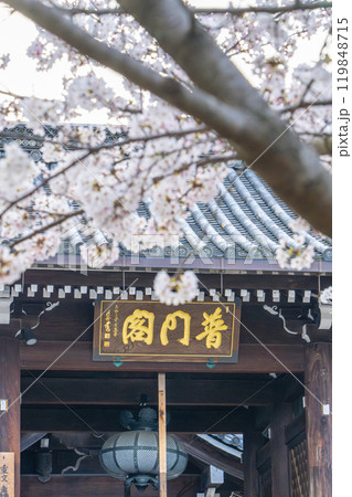 満開の桜と清水寺 轟門(中門) 満開の桜と清水寺 轟門(中門) 119848715