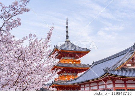 満開の桜と清水寺　三重塔 119848716
