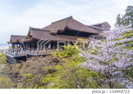 満開の桜と清水寺　本堂 119848723