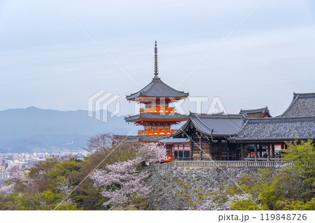 満開の桜と清水寺　三重塔 119848726
