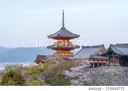 満開の桜と清水寺　三重塔 119848731