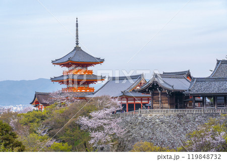 満開の桜と清水寺 三重塔 満開の桜と清水寺 三重塔 119848732