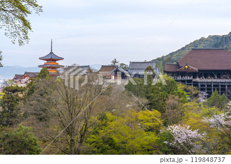 満開の桜と清水寺　本堂 119848737