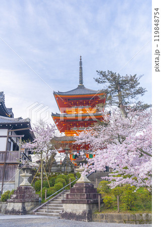 満開の桜と清水寺　三重塔 119848754