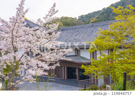 満開の桜と清水寺寺務所 満開の桜と清水寺寺務所 119848757