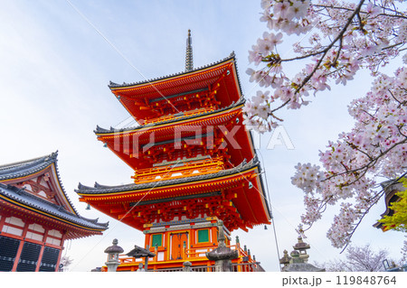 満開の桜と清水寺 三重塔 満開の桜と清水寺 三重塔 119848764