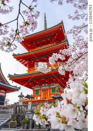 満開の桜と清水寺　三重塔 119848765