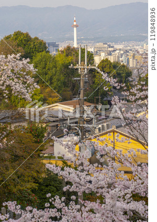 春の清水寺　参道から京都タワーを望む 119848936