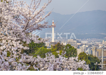春の清水寺　参道から京都タワーを望む 119848937