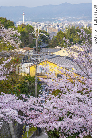 春の清水寺　参道から京都タワーを望む 119848939