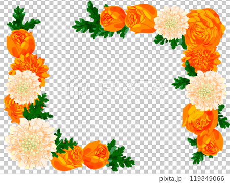 橘色玫瑰框 橘色玫瑰框 119849066