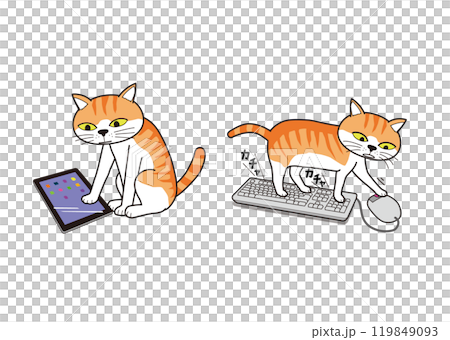 貓（棕色虎斑貓）對平板電腦和老鼠表現出興趣 119849093