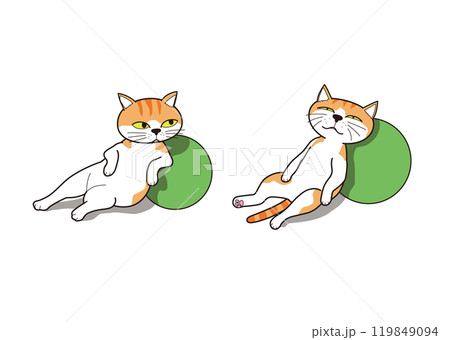 ボールに寄り掛かってリラックスして寝る猫(茶トラ) 119849094