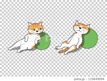 一隻貓(棕色虎斑貓)靠在球上放鬆和睡覺 一隻貓(棕色虎斑貓)靠在球上放鬆和睡覺 119849094