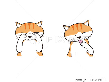 顔を洗う猫(茶トラ) 顔を洗う猫(茶トラ) 119849100