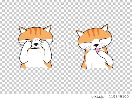 貓咪洗臉（棕色虎斑） 119849100