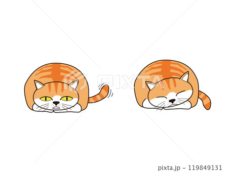 丸くなってしっぽを振り寝る猫(茶トラ) 丸くなってしっぽを振り寝る猫(茶トラ) 119849131